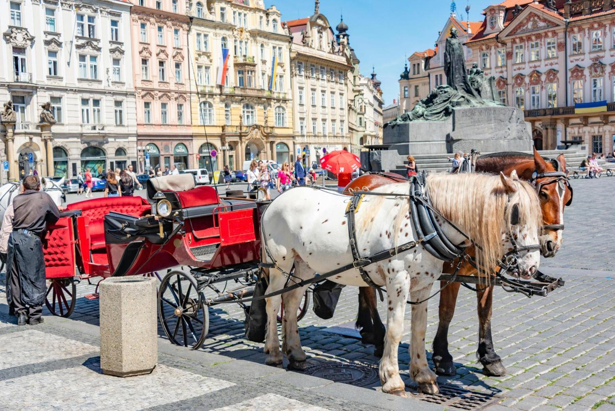 Cozy Homestay At Prague Main Station, Prague